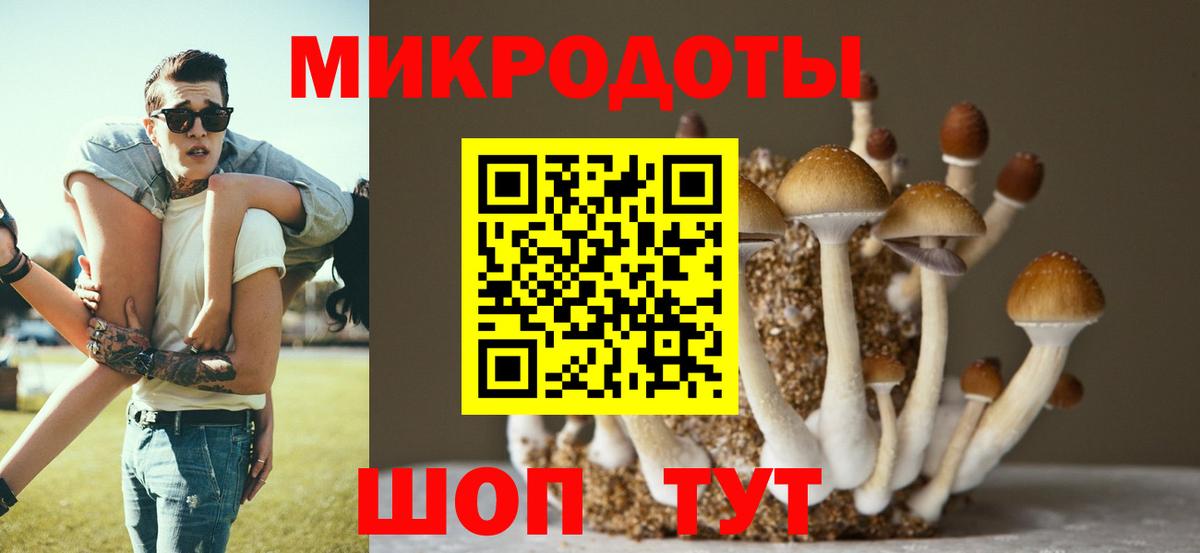 Кизилюрт  Галлюциногенные грибы прущие грибы  Псилоцибиновые грибы Magic Shrooms  Вход с VPN 
